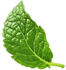 Hoja de yerbabuena en el centro